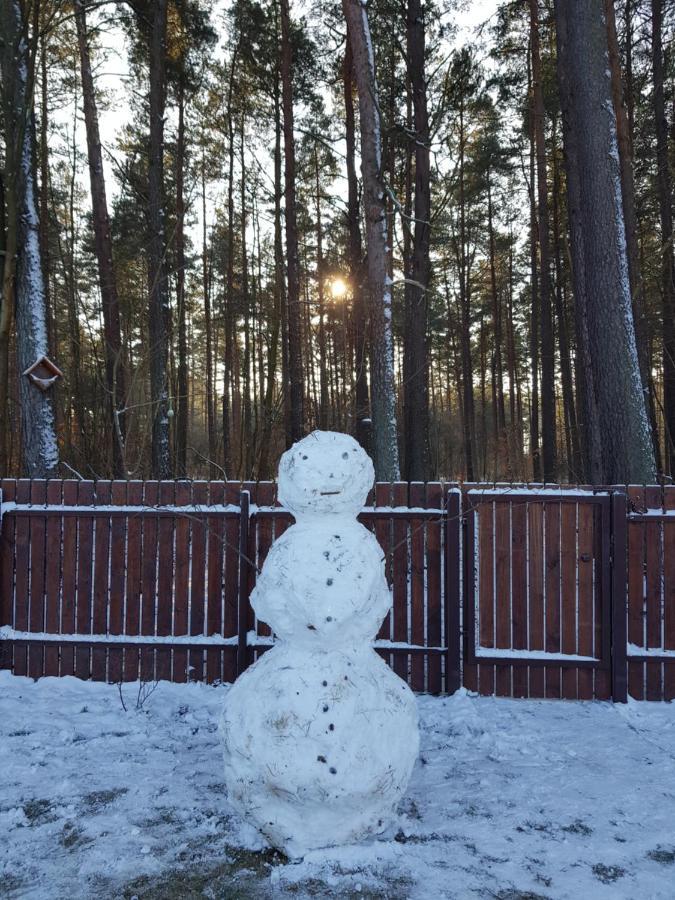 Łap Las Pelnik Zewnętrze zdjęcie